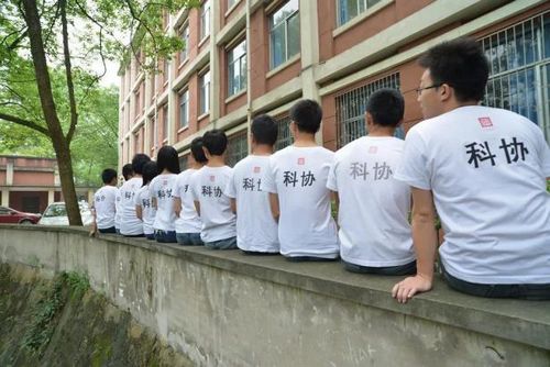 图片3.jpg 图片3.jpg