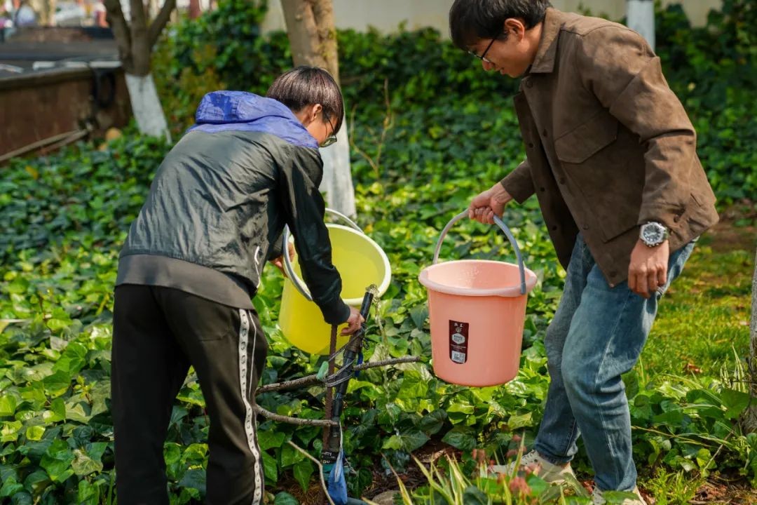 今天,学校师生一同种下“希望”树! 第 10 张 今天,学校师生一同种下“希望”树! 第 10 张
