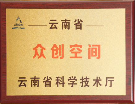 wps10.png 云南经济管理学院在2025年度中国高校众创空间联盟评选中荣获佳绩 第 10 张