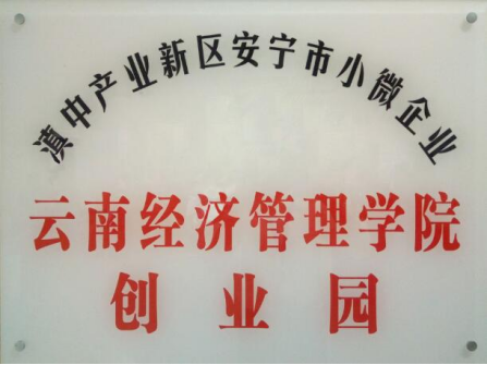 wps11.png 云南经济管理学院在2025年度中国高校众创空间联盟评选中荣获佳绩 第 11 张