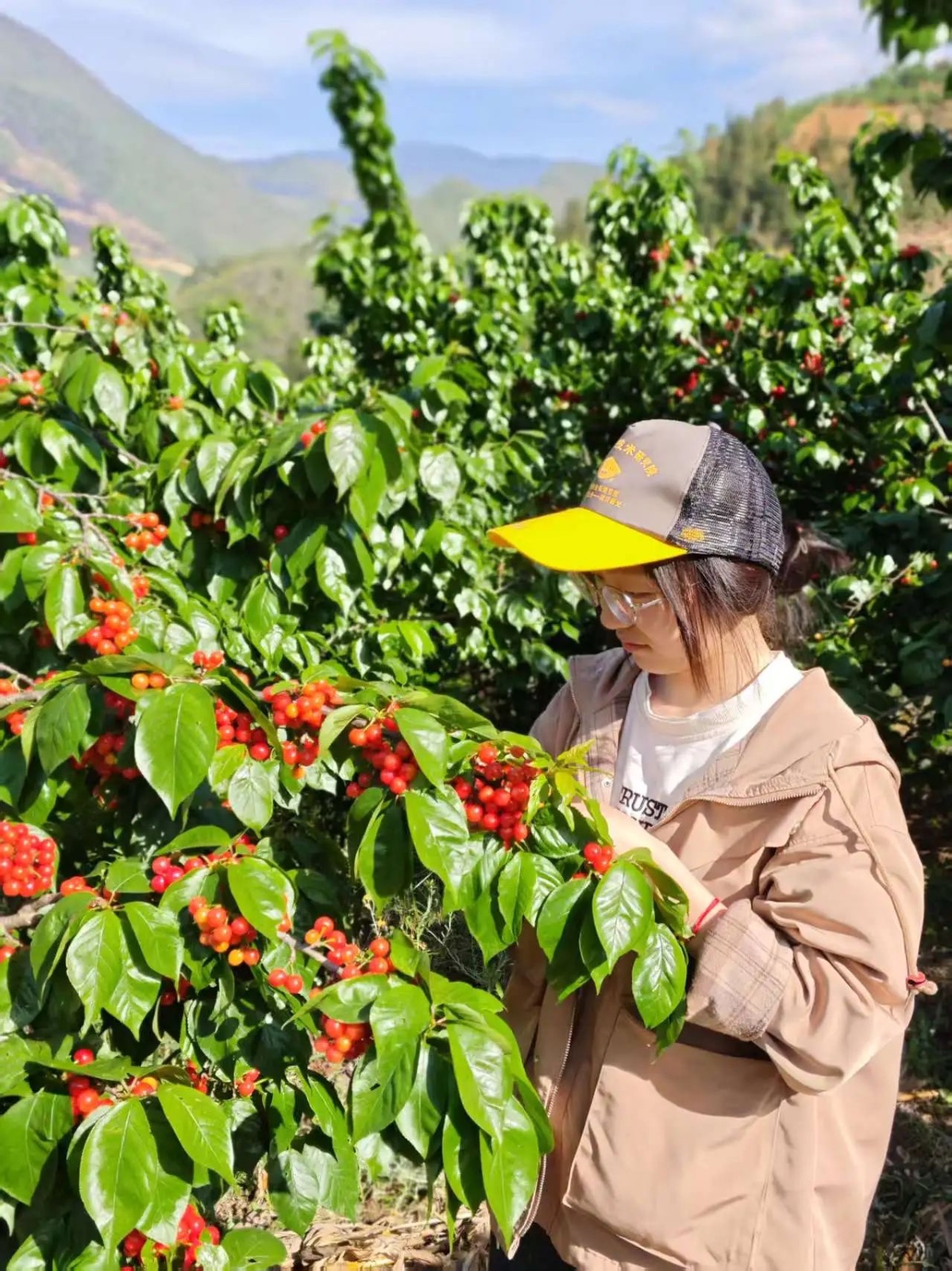 “偏要考上！”她做到了‼️ 第 2 张
