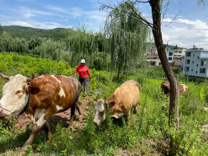 暑期社会实践 | 从课堂到田间地头，实践队用脚步踩出循坏经济的青春印记 第 5 张