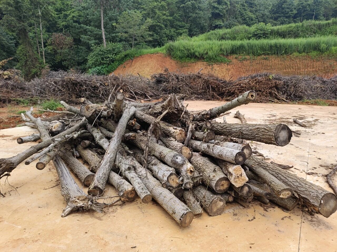 暑假社会实践 | 万物生息,科技赋能ESG循环发展 第 4 张 暑假社会实践 | 万物生息,科技赋能ESG循环发展 第 4 张