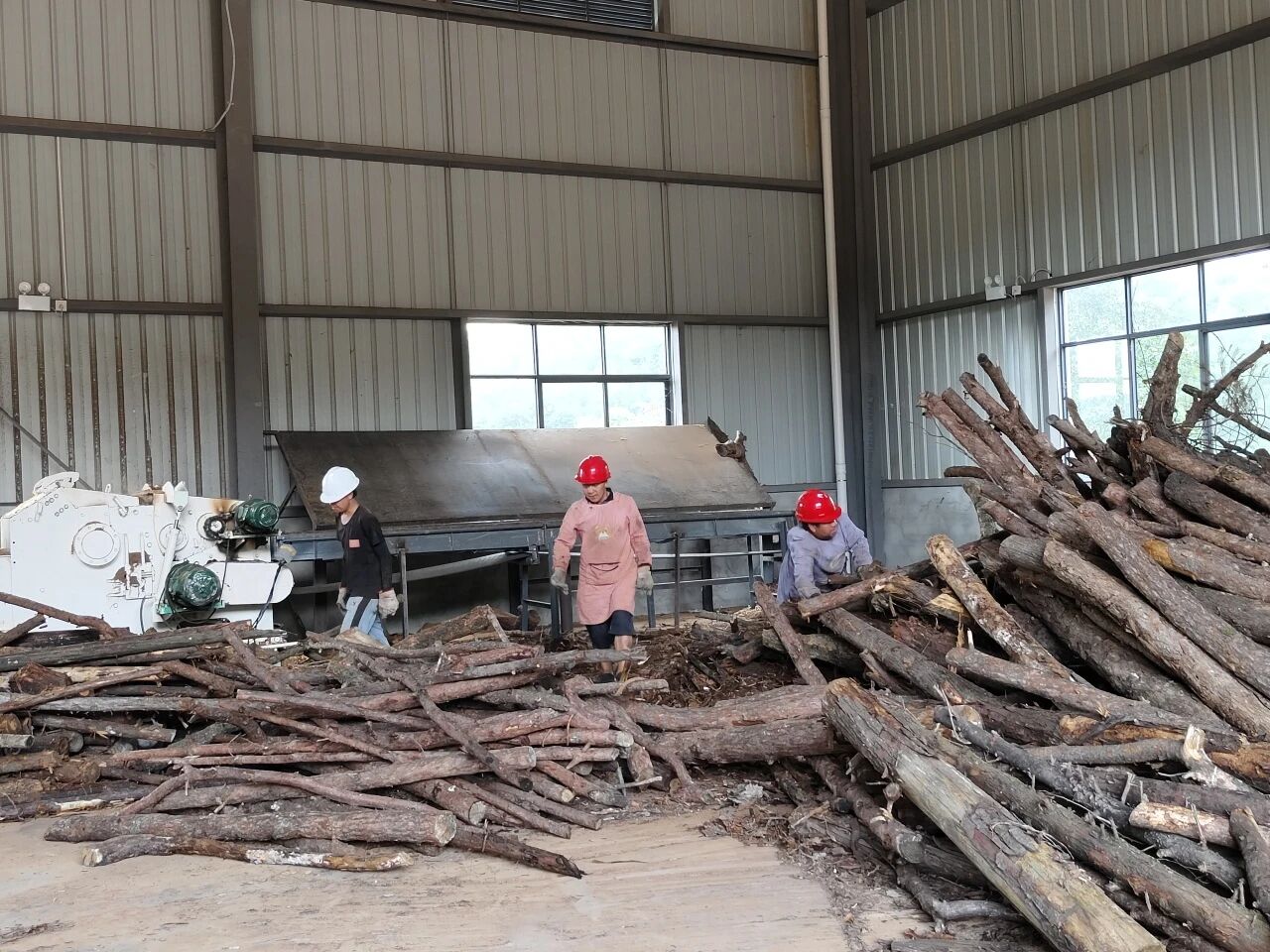 暑假社会实践 | 万物生息,科技赋能ESG循环发展 第 6 张 暑假社会实践 | 万物生息,科技赋能ESG循环发展 第 6 张