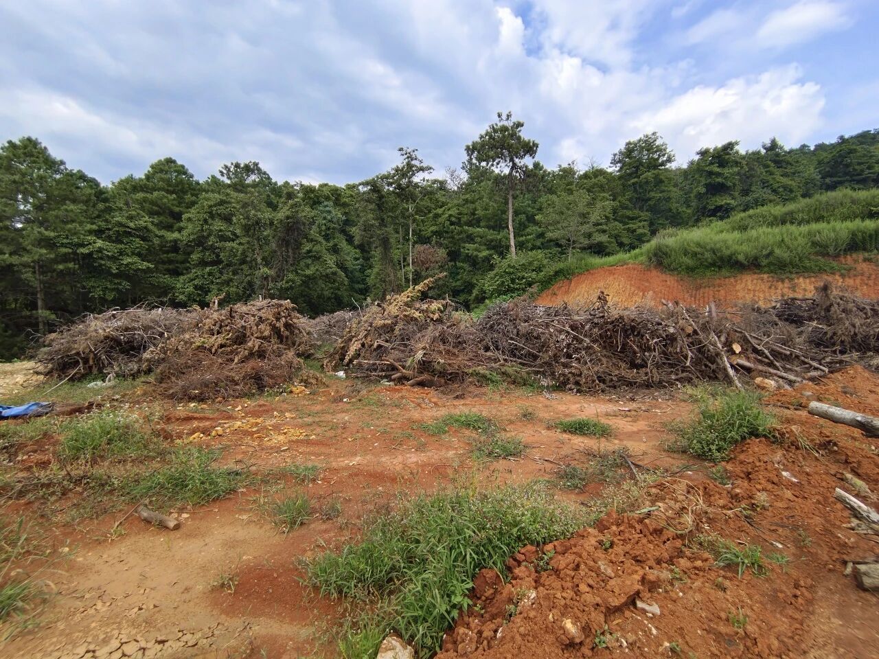 暑假社会实践 | 万物生息,科技赋能ESG循环发展 第 5 张 暑假社会实践 | 万物生息,科技赋能ESG循环发展 第 5 张