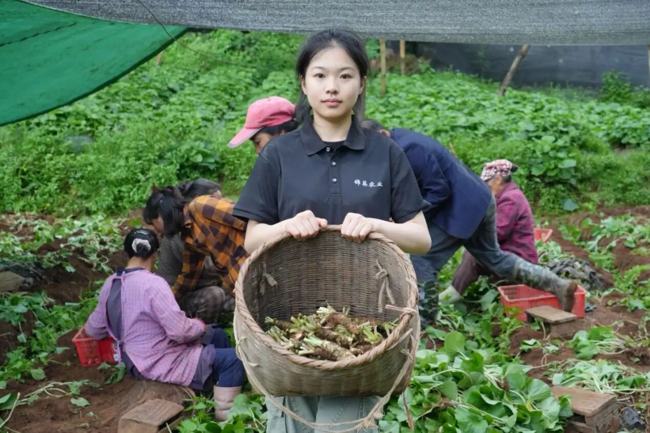 创新创业｜中国国际大学生创新大赛职教赛道创意组国赛银奖：锦葵农业团队 第 2 张