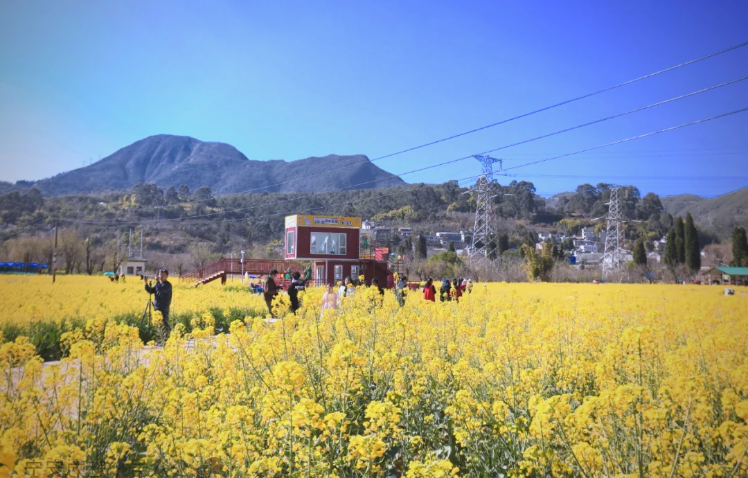 快来加入我们！与其躺平一“夏”，不如实干一场！ 第 1 张