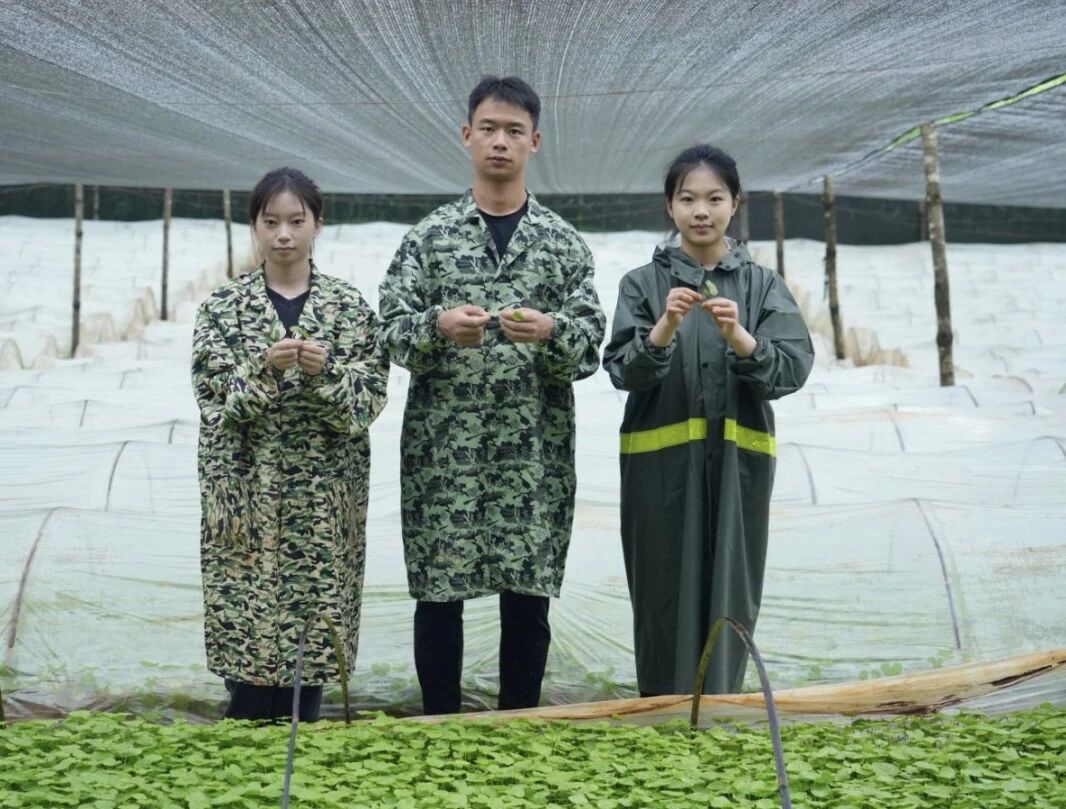 创新创业｜中国国际大学生创新大赛职教赛道创意组国赛银奖：锦葵农业团队 第 5 张