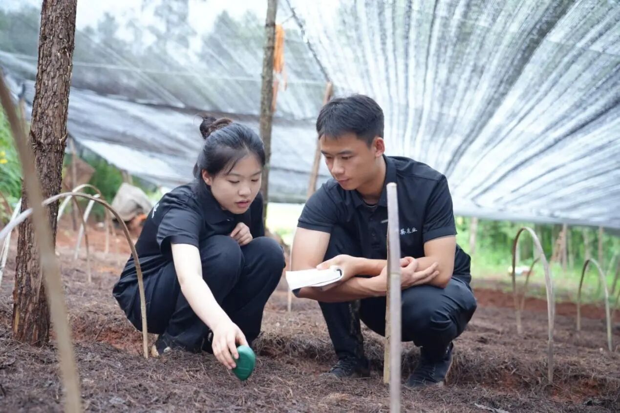 创新创业｜中国国际大学生创新大赛职教赛道创意组国赛银奖：锦葵农业团队 第 4 张