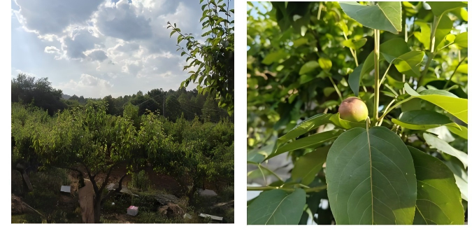 图片4(6).png 图片4(6).png